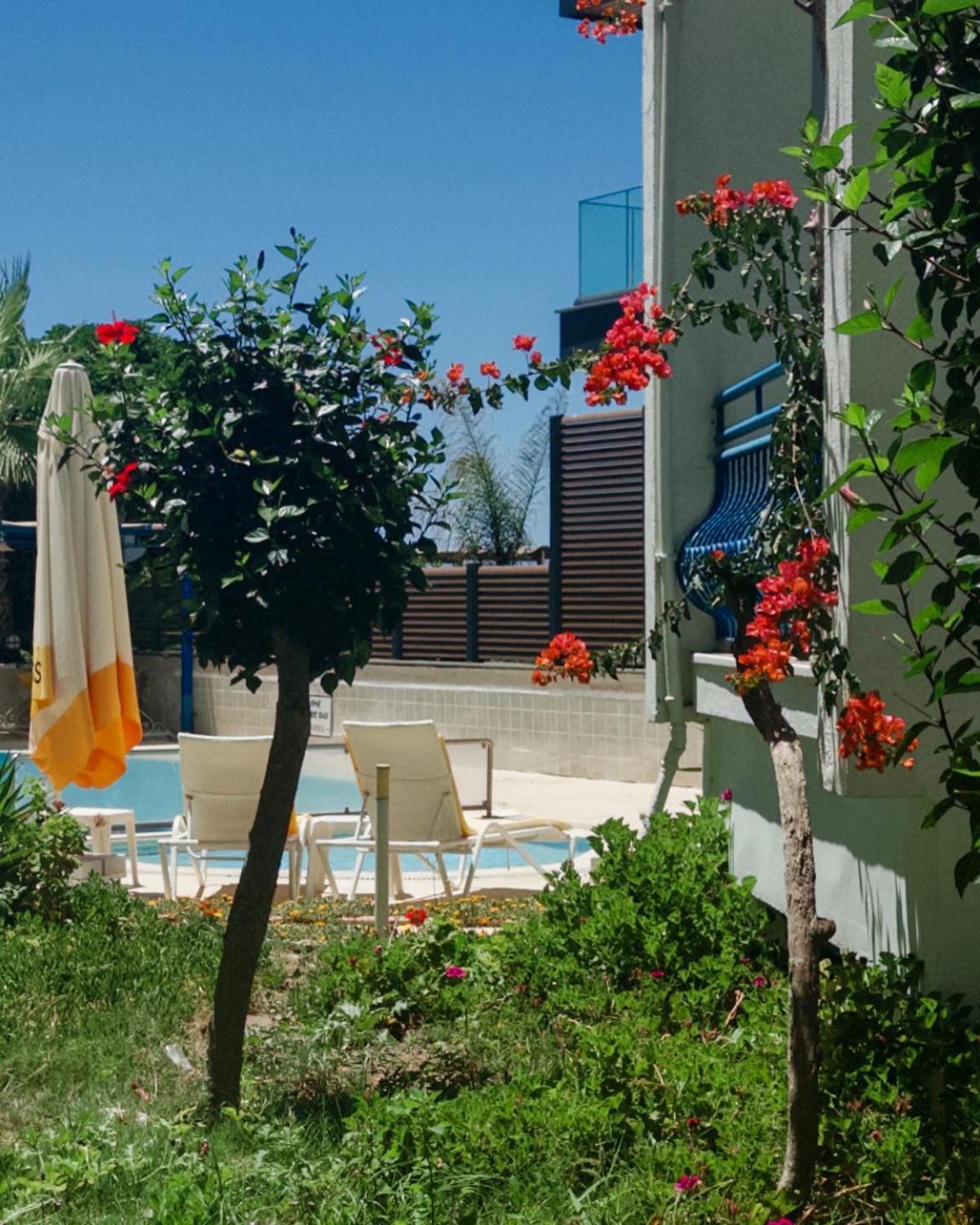 One More Day Hotel Turgutreis Exterior foto
