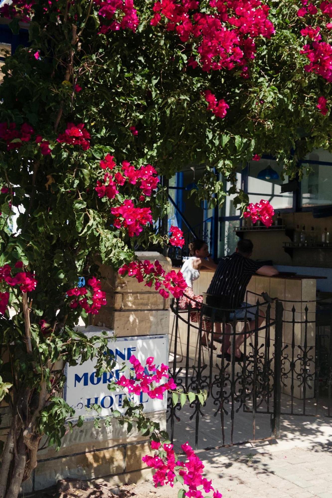 One More Day Hotel Turgutreis Exterior foto